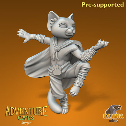 Strygur Monk Cat - Male | Kawna | Adventure Cats | UNPAINTED Miniature in Resin