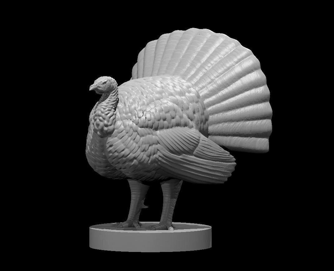 Turkey (3 poses, 1 dangerous) | MZ4250 | UNPAINTED Miniature in Resin
