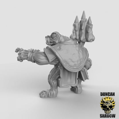 Boggard (Toad) Necromancers  (Set of 3)| Duncan Shadow | UNPAINTED Miniature in Resin