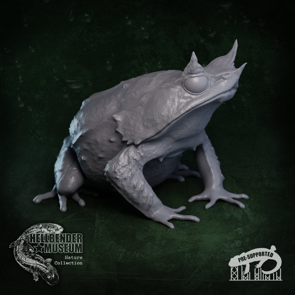 Malayan Horned Frog | Megophrys Nasuta | Hellbender Museum | UNPAINTED Miniature in Resin