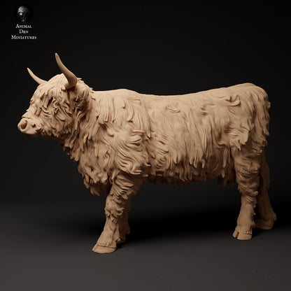 Highland Cow (3 poses) | Animal Den Miniatures | UNPAINTED Miniature in Resin