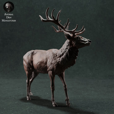 Red Deer Stag | Animal Den Miniatures | UNPAINTED Miniature in Resin