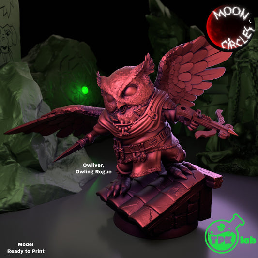Owliver, Owling Rogue | TPK Lab | UNPAINTED Miniature in Resin