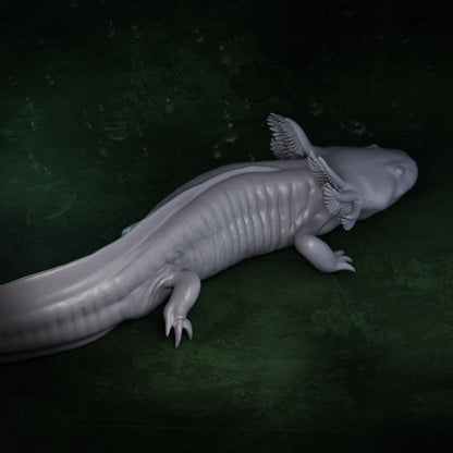 Axolotl (3 poses) | Mexican Walking Fish | Ambystoma Mexicanum | Hellbender Museum | UNPAINTED Miniature in Resin