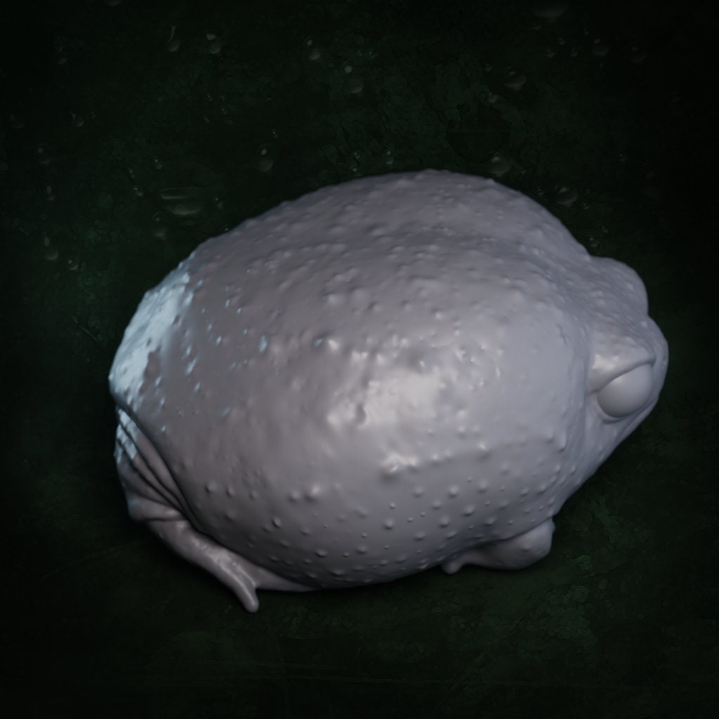 Common Rain Frog | Breviceps Adspersus | Hellbender Museum | UNPAINTED Miniature in Resin