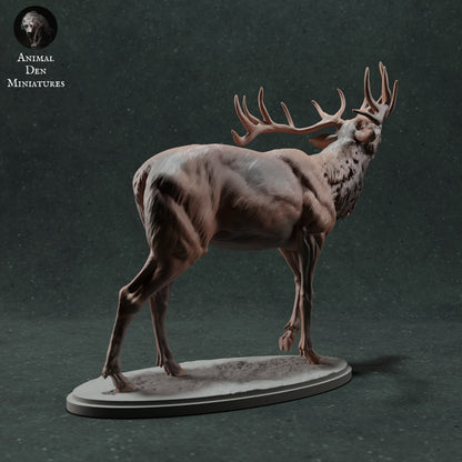 Red Deer Stag Call | Animal Den Miniatures | UNPAINTED Miniature in Resin