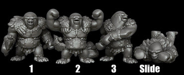Penguin Party Barbarian