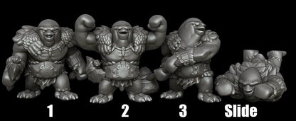 Penguin Party Barbarian