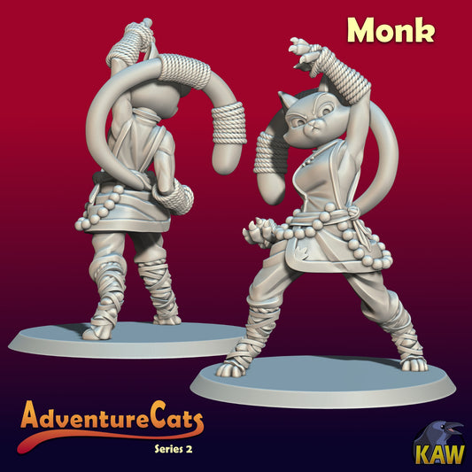 Adventure Cat - Monk