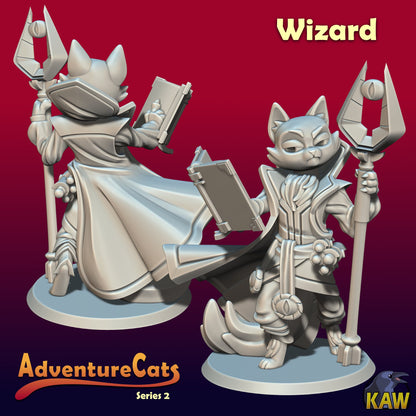 Adventure Cat - Wizard