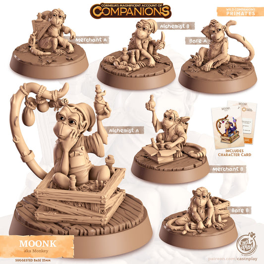 Cordelia's Companions - Moonk - Monkey
