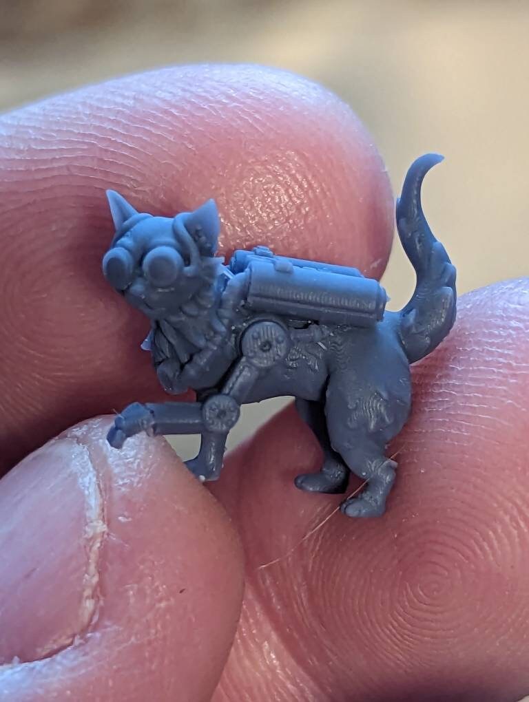 Cordelia's Companions - Bimba - Bombay Cat