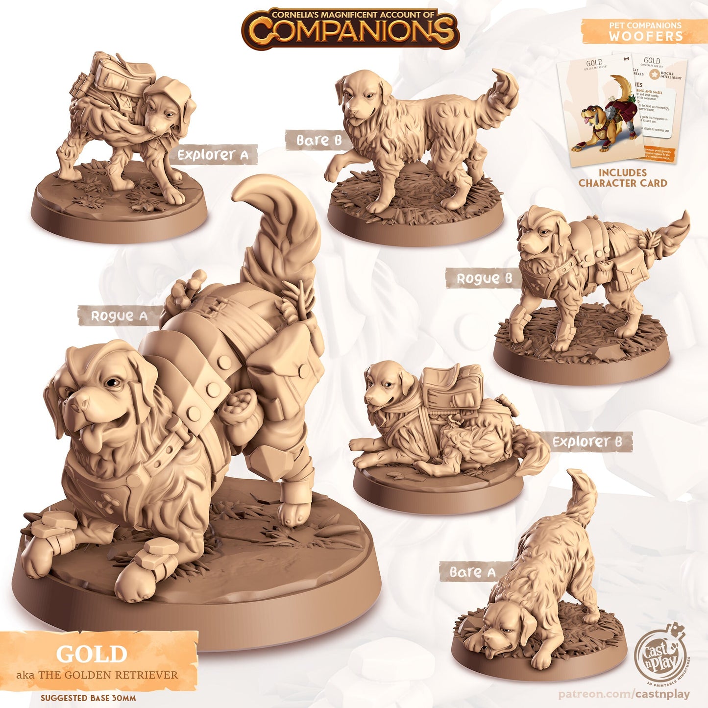 Cordelia's Companions - Gold - Golden Retriever