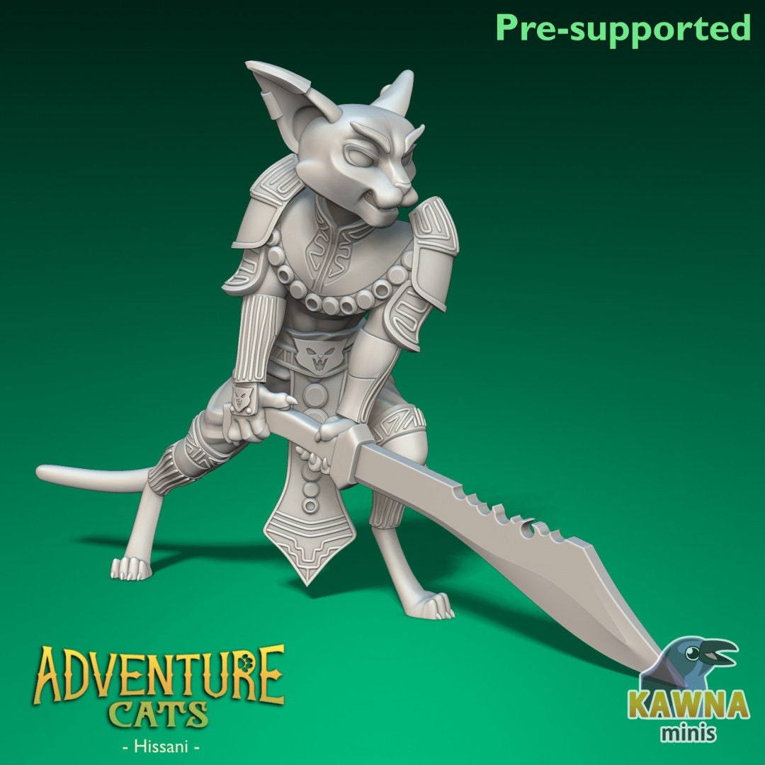 Hissani - Barbarian - Male Cat