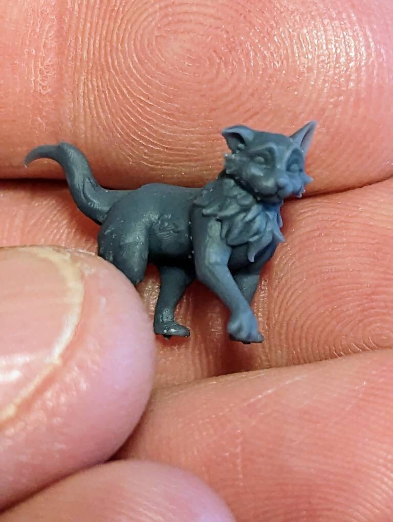 Cordelia's Companions - Bimba - Bombay Cat