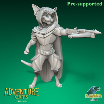 Hissani - Ranger - Male Cat
