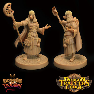 Doggos and Dragons - Dog Mage