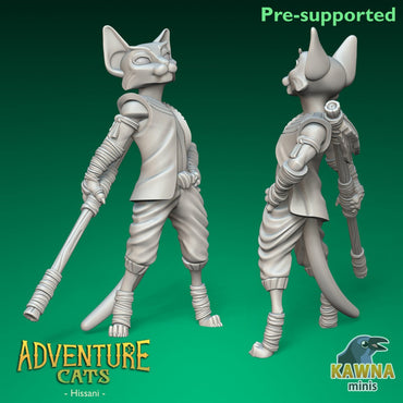 Hissani - Monk - Male Cat