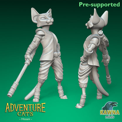 Hissani - Monk - Male Cat