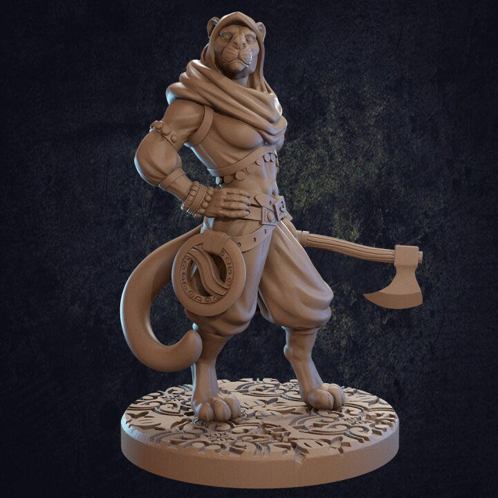 Taja Tabaxi Ranger - Dragon Trappers Lodge