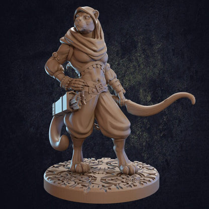Taja Tabaxi Ranger - Dragon Trappers Lodge