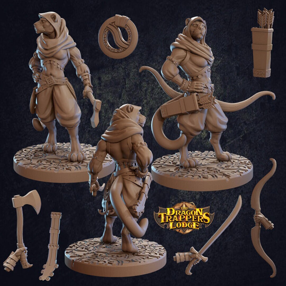 Taja Tabaxi Ranger - Dragon Trappers Lodge