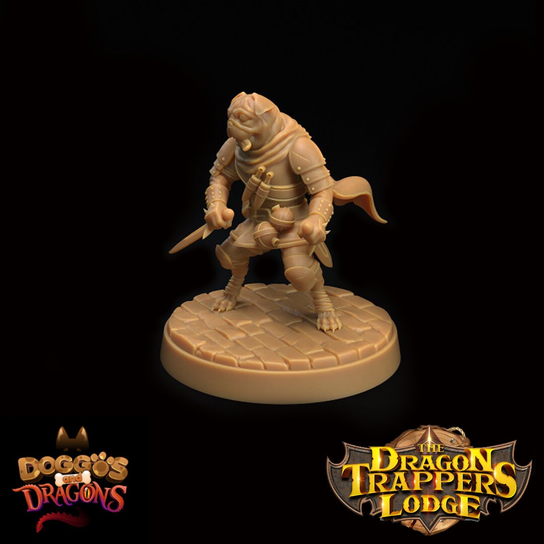 Doggos and Dragons - Dog Rogue
