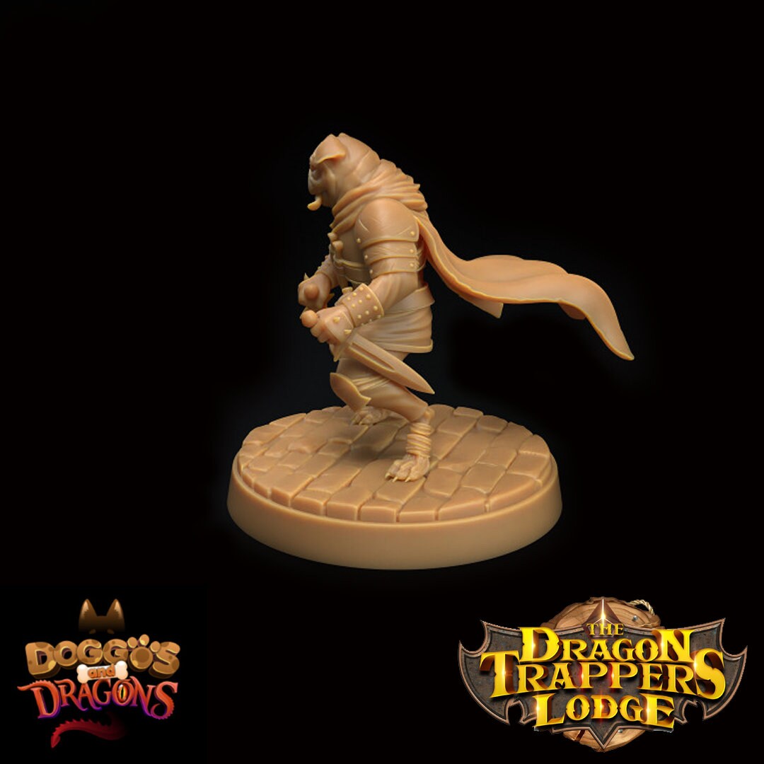 Doggos and Dragons - Dog Rogue