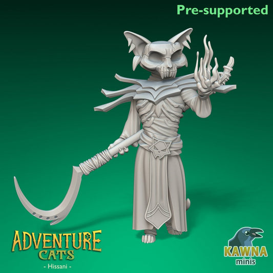 Hissani - Warlock - Male Cat