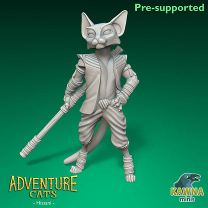 Hissani - Monk - Male Cat