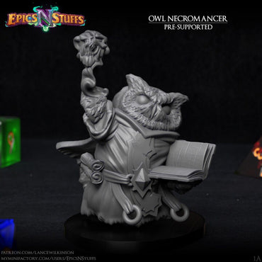 Epics'N'Stuffs - Owlkin Necromancer
