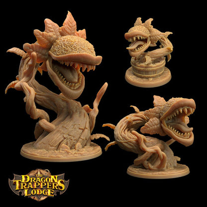 Carnivorous Plant - Dragon Trapper's Lodge