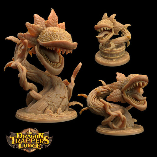 Carnivorous Plant - Dragon Trapper's Lodge