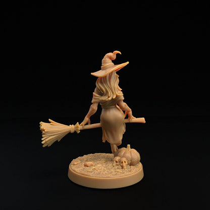 Witches (3 Poses) - Dragon Trappers Lodge