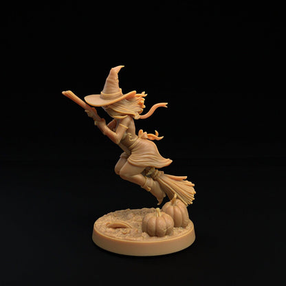 Witches (3 Poses) - Dragon Trappers Lodge