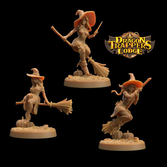 Witches (3 Poses) - Dragon Trappers Lodge
