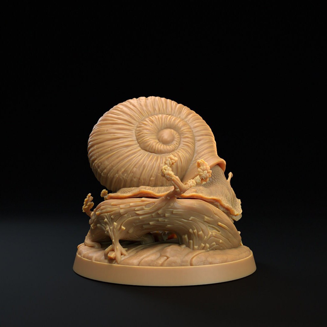 Adventure Snails! - Dragon Trappers Lodge