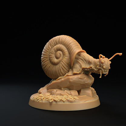 Adventure Snails! - Dragon Trappers Lodge