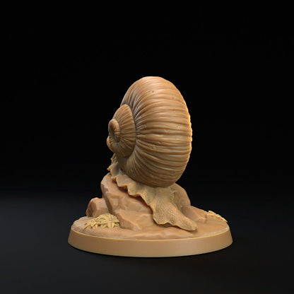 Adventure Snails! - Dragon Trappers Lodge