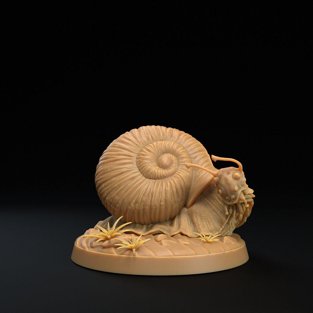 Adventure Snails! - Dragon Trappers Lodge