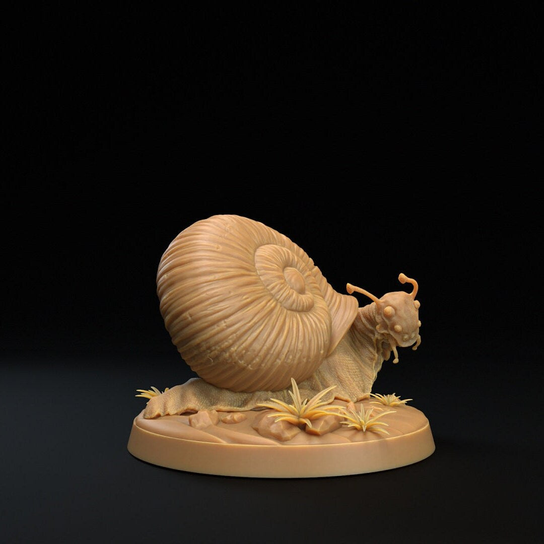 Adventure Snails! - Dragon Trappers Lodge