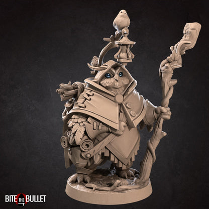 Uka, the Forest Keeper Owlfolk | Bite the Bullet