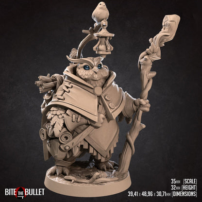 Uka, the Forest Keeper Owlfolk | Bite the Bullet