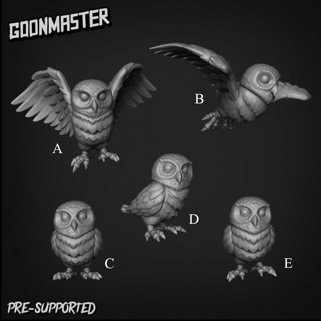 Owl Companion (5 poses) - Goon Master