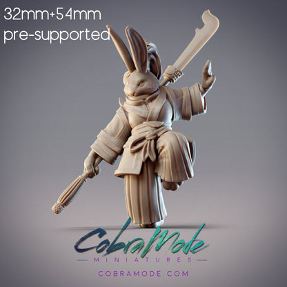 Rabbitfolk Warrior - Sunset Jade, Guanghan Swordswoman