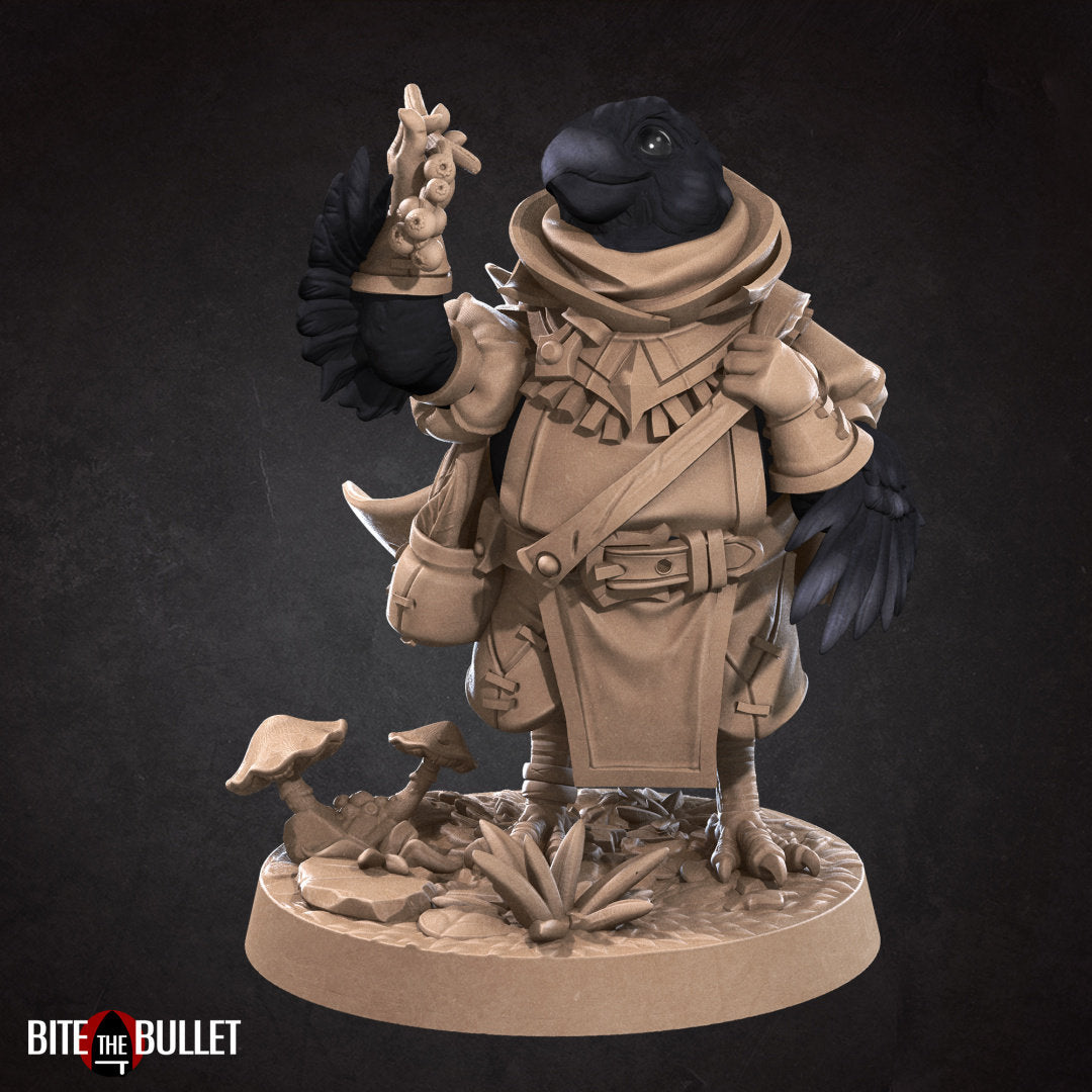 Kenku (anthropomorphic corvid) forager gathering herbs and berries; resin miniature by Bite the Bullet.