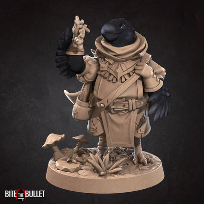 Kenku (anthropomorphic corvid) forager gathering herbs and berries; resin miniature by Bite the Bullet.