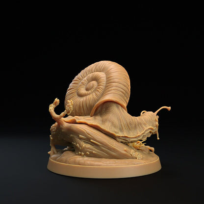 Adventure Snails! - Dragon Trappers Lodge