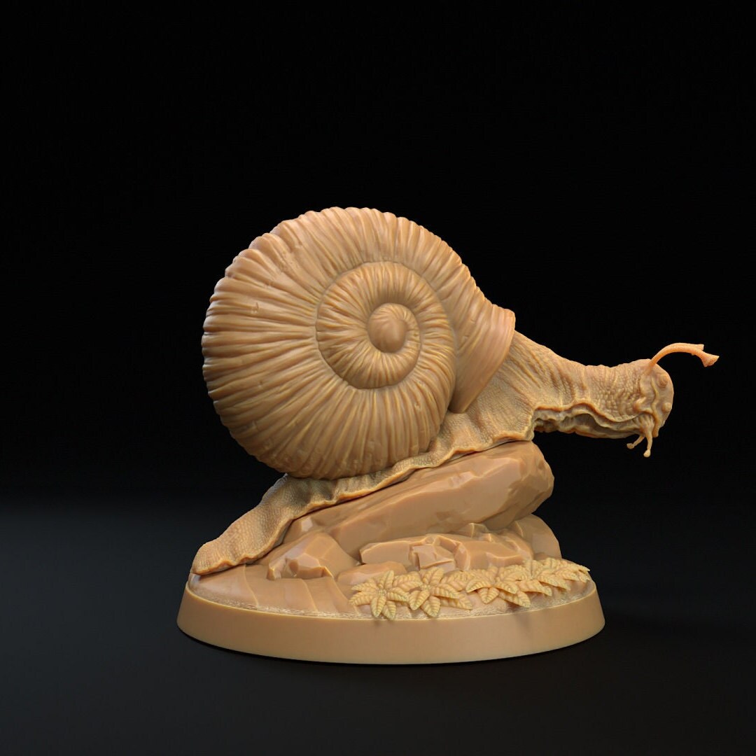 Adventure Snails! - Dragon Trappers Lodge