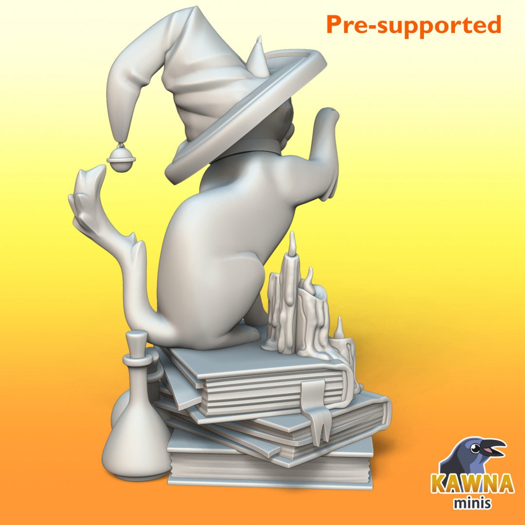 Witch Cat | Adventure Cat | Kawna